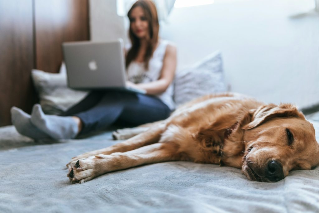 best jobs for stay at home moms